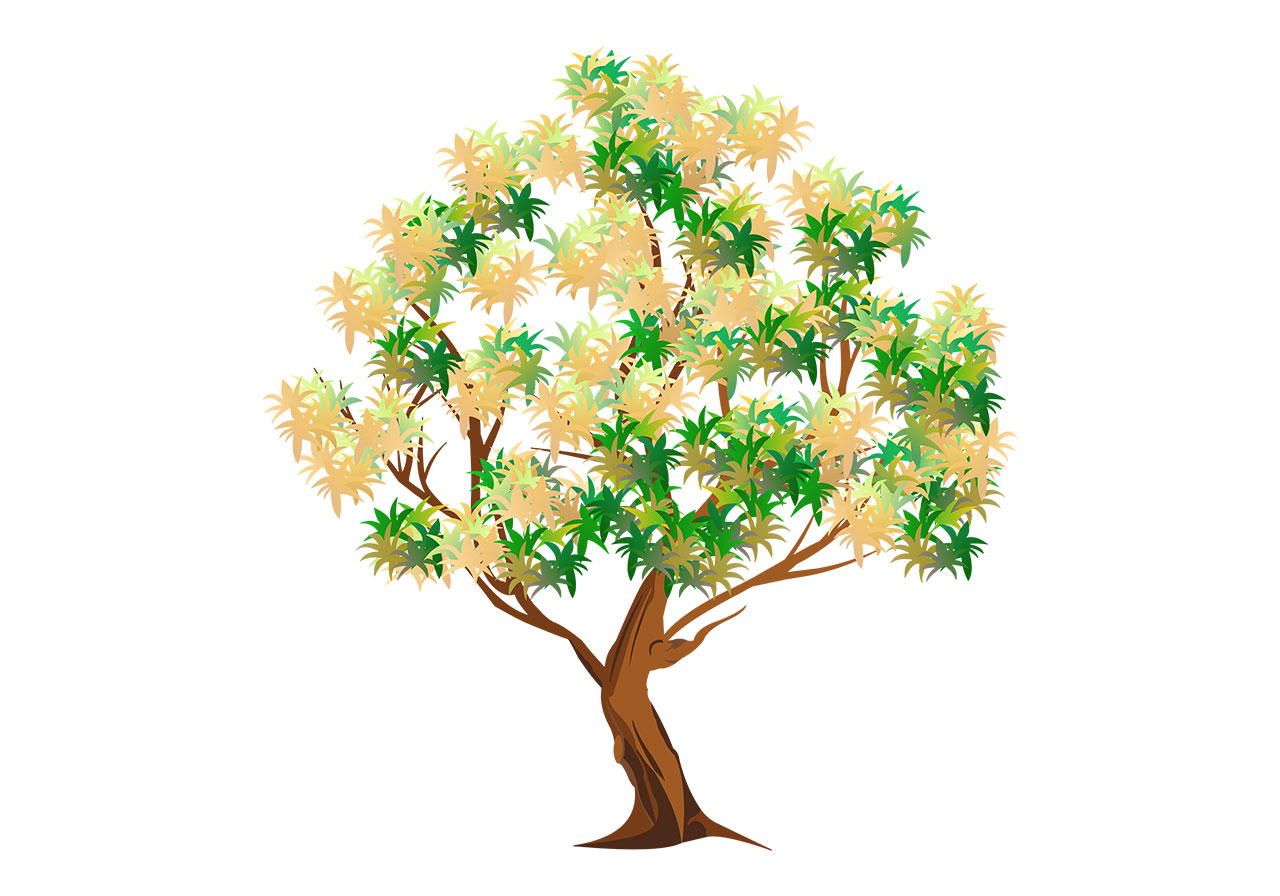 Beautiful tree, plant vector graphic. Stunning tree with lush foliage vector graphic. A stylized tree with dense canopy of leaves vector graphic. Vector graphic with CC0 license, best for a variety of projects, including designs, animations, and more.