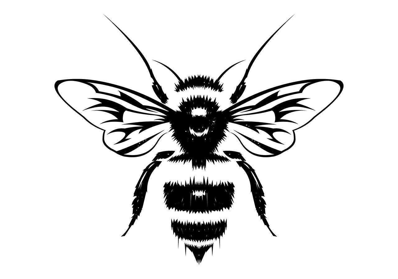 Bee, insect, animal vector graphic. Beautiful bee clip art vector graphic. Black and white line art of a beautiful bee vector graphic. Black and white clip art, line art vector graphic. Vector graphic with CC0 license, best for a variety of projects, including designs, animations, and more.