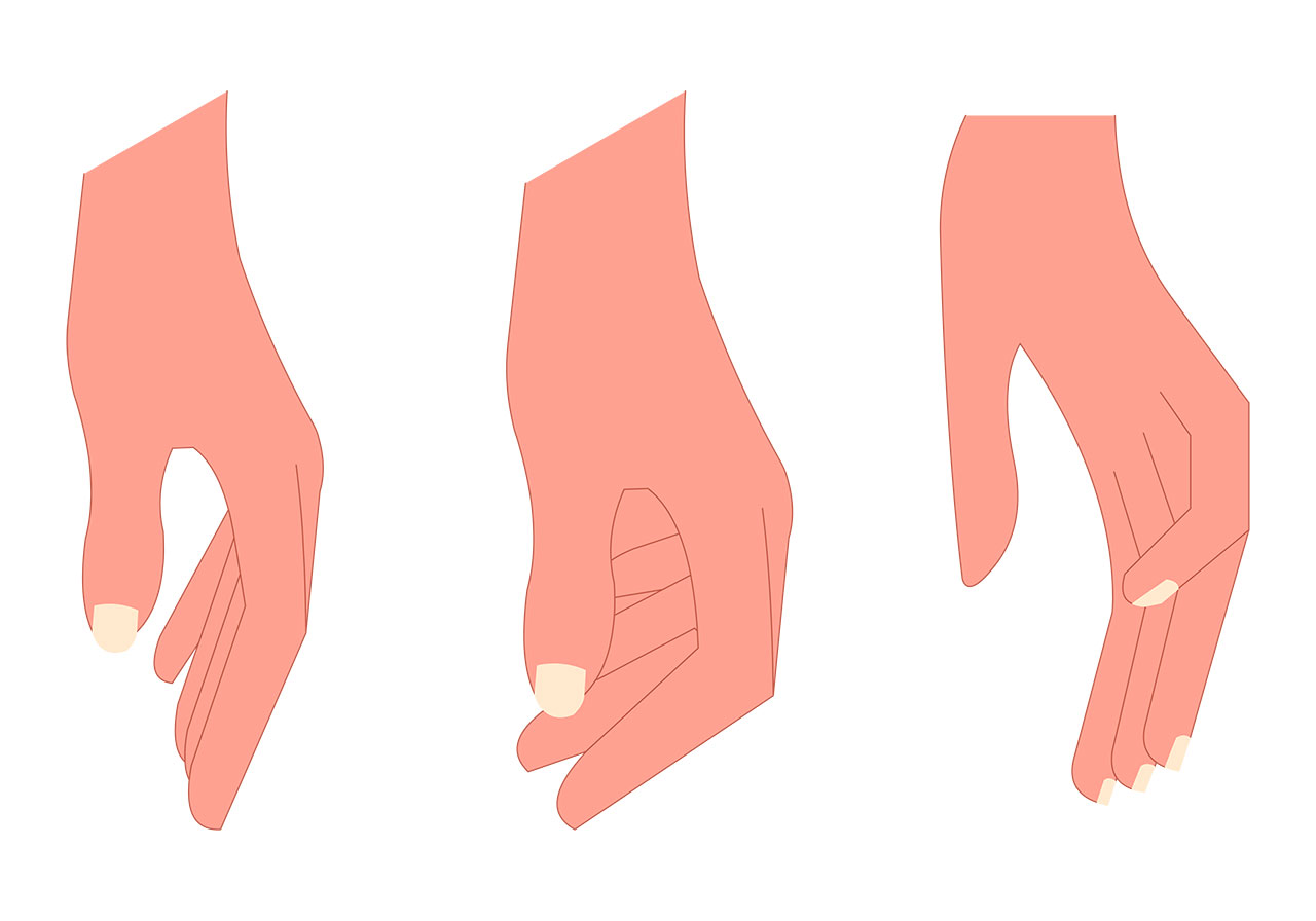 Cartoon hands, palms vector graphic. Palms for cartoon characters vector graphic.Vector graphic with CC0 license, best for a variety of projects, including designs, animations, and more.