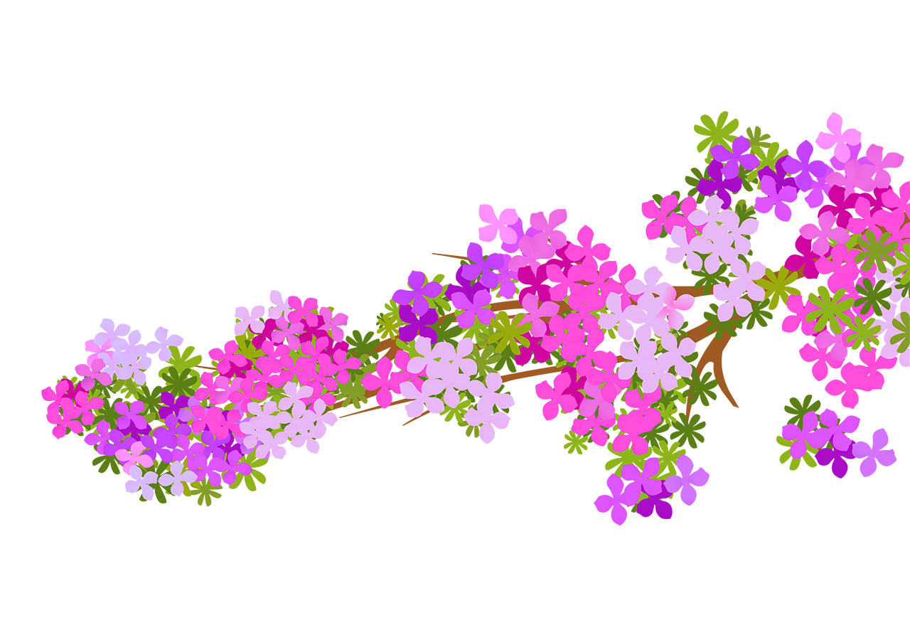 Cherry blossoms, sakura vector graphic. Branch of cherry blossoms vector graphic. Beautiful pink-violet cherry flowers branch vector graphic. Stunning flowers with leaves vector graphic. Vector graphic with CC0 license, best for a variety of projects, including designs, animations, and more.