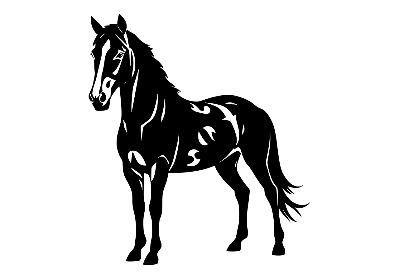 Horse, animal, mammal vector graphic. Horse, animal clip art vector graphic. Horse line art vector graphic. Black and white horse vector graphic. Vector graphic with CC0 license, best for a variety of projects, including designs, animations, and more.