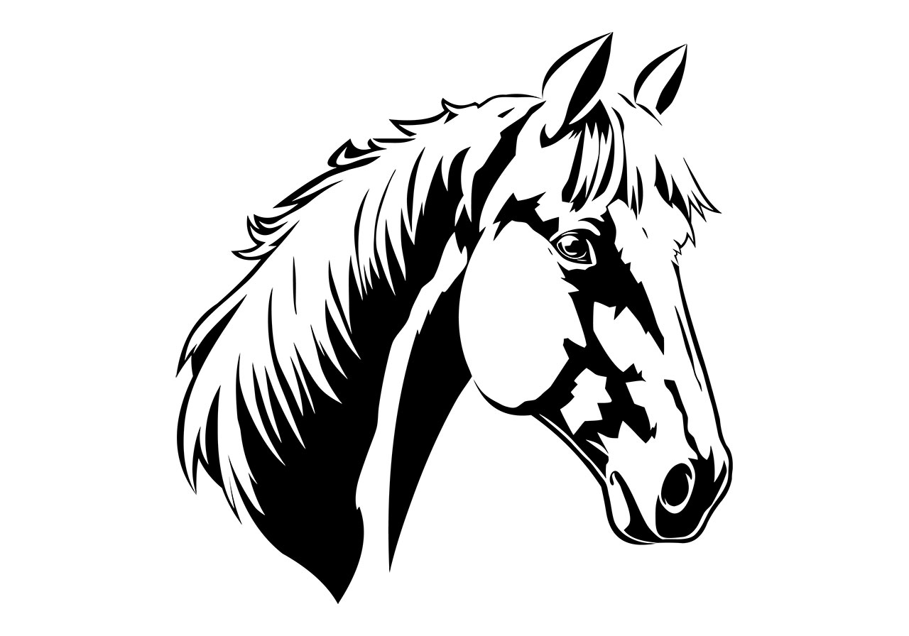 Horse, animal, wildlife vector graphic. Beautiful horse's head and upper neck clip art vector graphic. Black and white line art of a head and upper neck of a horse vector graphic. Vector graphic with CC0 license, best for a variety of projects, including designs, animations, and more.