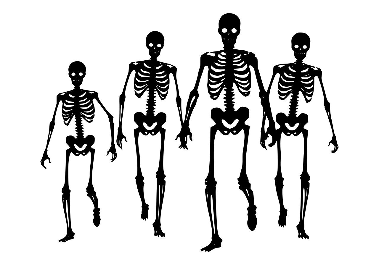 Human skeletons, ghosts vector graphic. Human skeletons clip art, line art vector graphic. Black and white clip art of ghosts vector graphic. Vector graphic with CC0 license, best for a variety of projects, including designs, animations, and more.