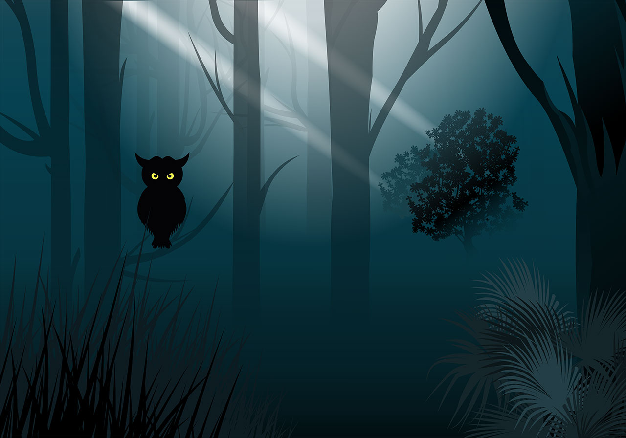 Jungle at night vector graphic. Jungle at night landscape vector graphic. Silhouette of an owl depicted entirely in black with its large, glowing yellow eyes perched on a branch in a jungle at night landscape vector graphic. Vector graphic with CC0 license, best for a variety of projects, including designs, animations, and more.