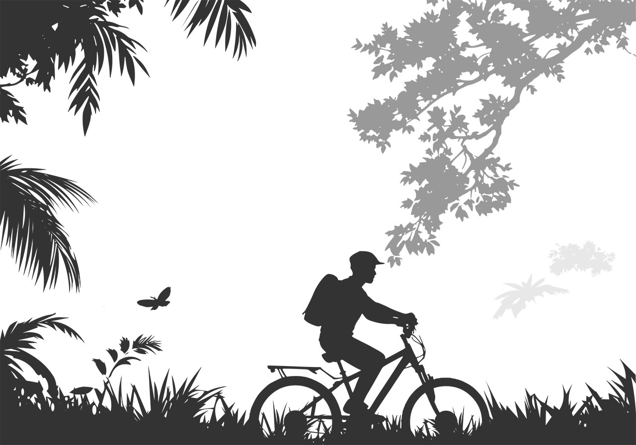 Jungle, cycle, silhouette vector graphic. A boy driving a cycle through a jungle clip art vector graphic. Black and white line art of a jungle vector graphic. Vector graphic with CC0 license, best for a variety of projects, including designs, animations, and more.