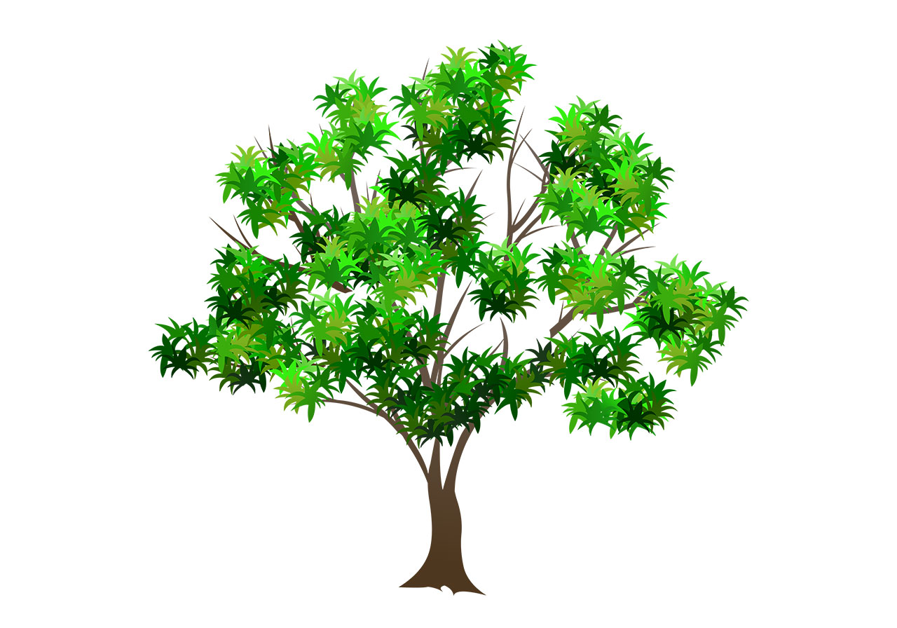 New tree, plant vector graphic. Beautiful green tree vector graphic. Stunning tree, plant with lush green leaves vector graphic. A stylized tree depicted with a visible trunk, branches, and abundant foliage vector graphic. Vector graphic with CC0 license, best for a variety of projects, including designs, animations, and more.