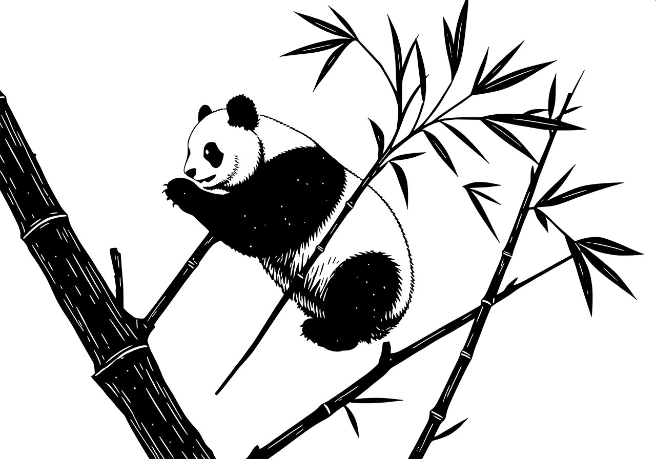 Panda, animal, wildlife vector graphic. A panda on a bamboo tree clip art vector graphic. Black and white line art of a panda sitting on a bamboo tree vector graphic. Vector graphic with CC0 license, best for a variety of projects, including designs, animations, and more.