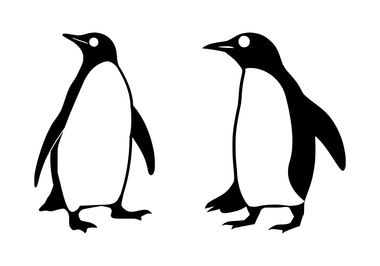 Penguins, bird, animal vector graphic. Set of penguins clip art vector graphic. Black and white line art of penguins vector graphic. Vector graphic with CC0 license, best for a variety of projects, including designs, animations, and more.