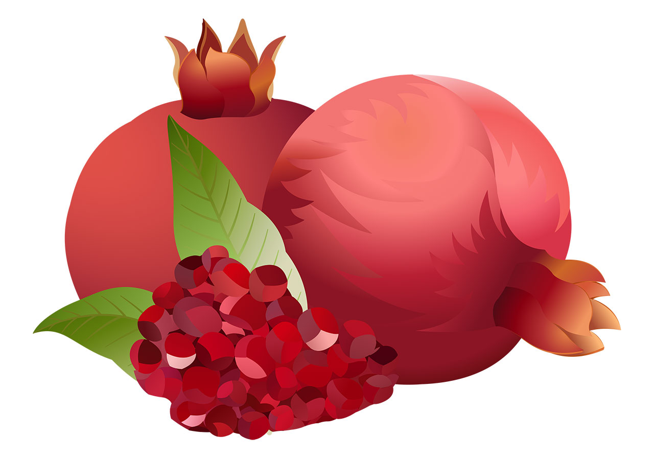 Pomegranate with leaves vector graphic. Fruits with leaves vector graphic. Beautiful ripe pomegranates with green leaves vector graphic. Two ripe pomegranates and a cluster of their arils (seeds) vector graphic. Vector graphic with CC0 license, best for a variety of projects, including designs, animations, and more.
