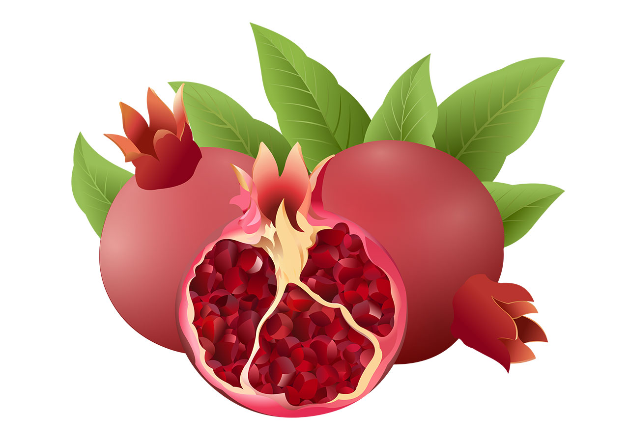 Ripe pomegranates, fruits vector graphic. Fruits with leaves vector graphic. Two whole pomegranates and one pomegranate cut in half revealing its vibrant interior, along with several green leaves vector graphic. Vector graphic with CC0 license, best for a variety of projects, including designs, animations, and more.