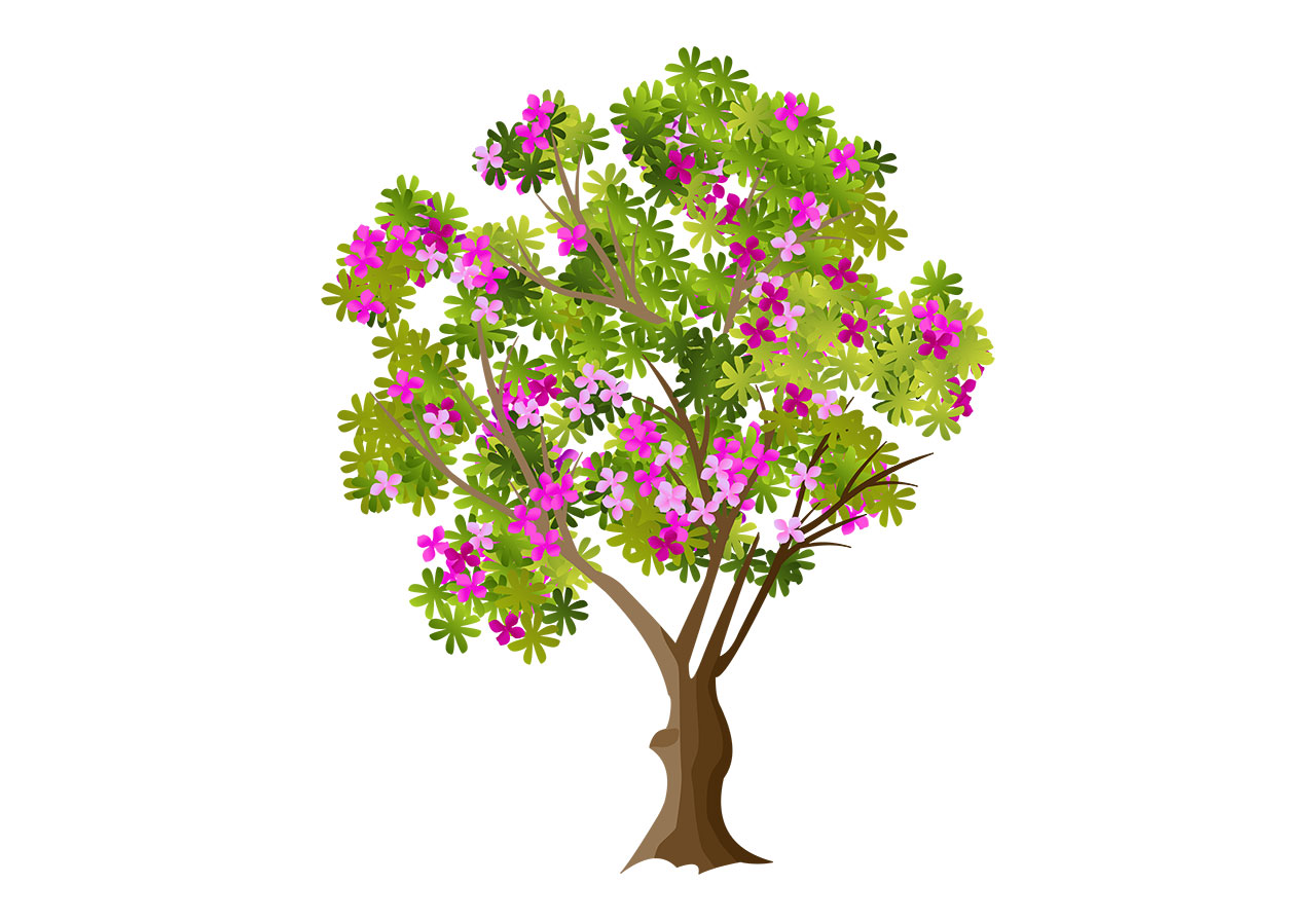 Tree, flowering plant vector graphic. Beautiful pink cherry flowering tree vector graphic. A stylised, blooming tree depicted in full leaf, adorned with clusters of bright pink and lighter purple flowers vector graphic. Vector graphic with CC0 license, best for a variety of projects, including designs, animations, and more.
