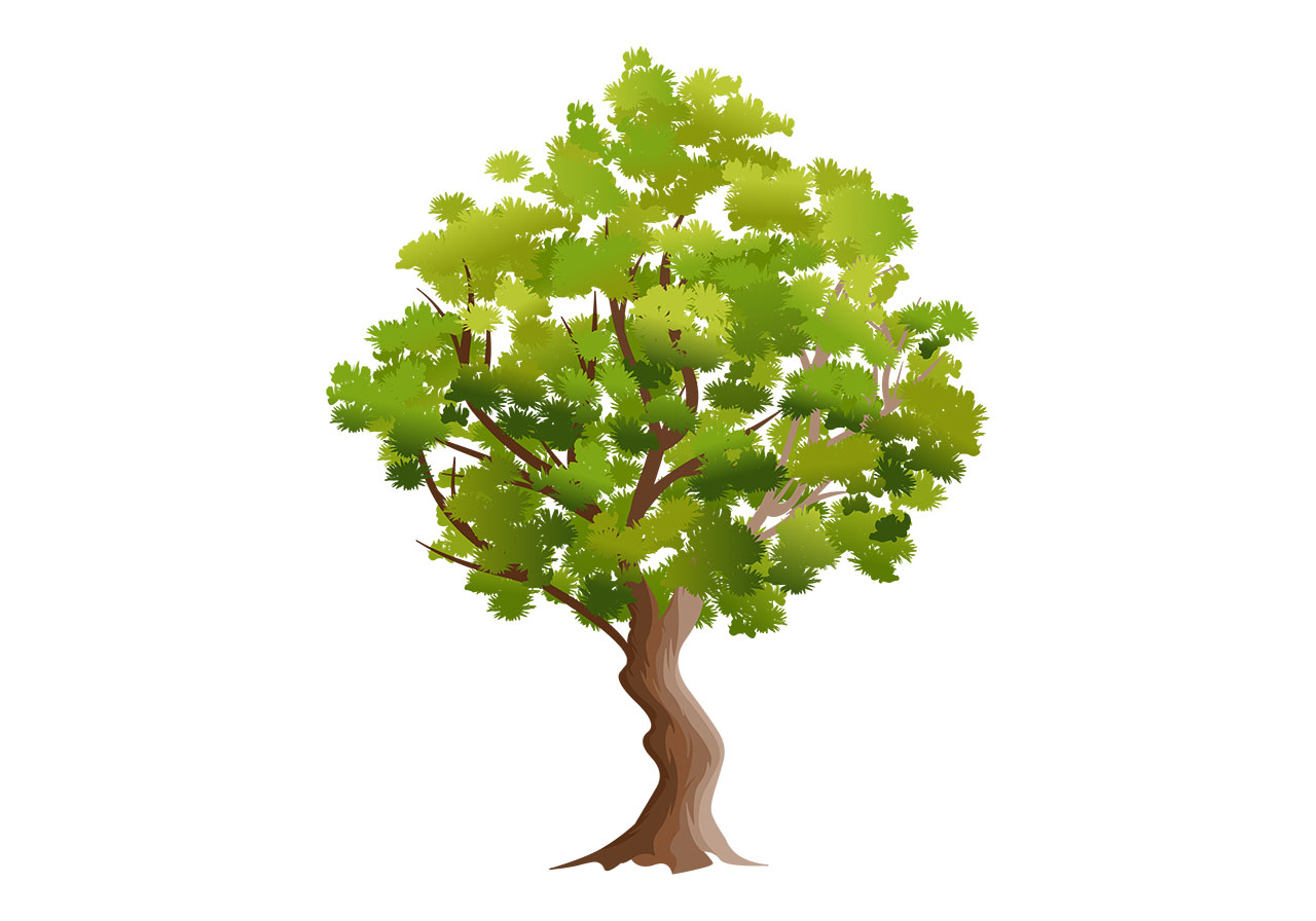 Trunk, green tree vector graphic. Large green tree, plant vector graphic. Large tree with lush green leaves vector graphic. A solitary, mature deciduous tree vector graphic. Vector graphic with CC0 license, best for a variety of projects, including designs, animations, and more.