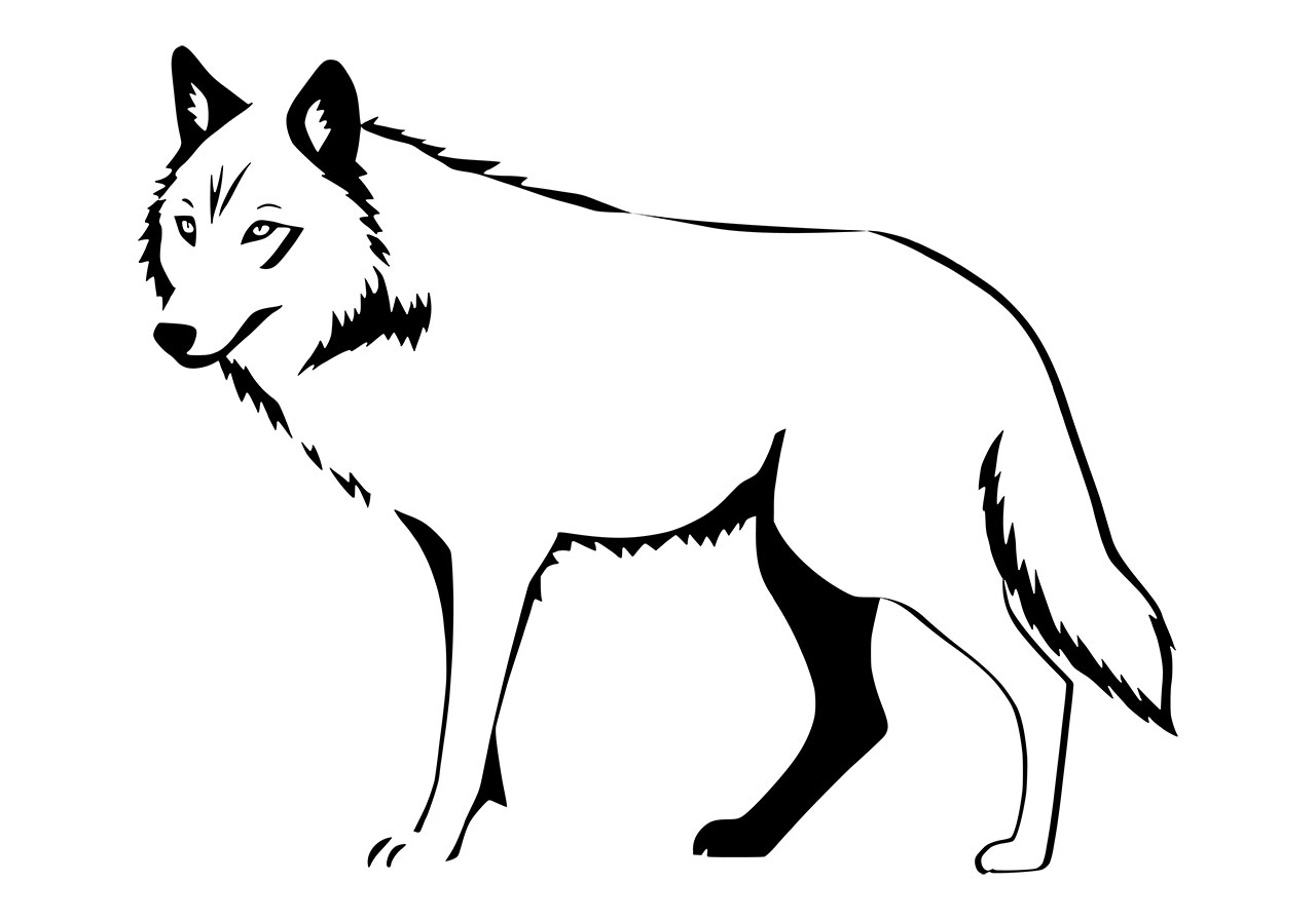 Wolf line art vector graphic. Wolf clip art vector graphic. Black and white wolf line art vector graphic. Wolf, animal vector graphic. A line art of a stylized, profile view of a wolf vector graphic. Vector graphic with CC0 license, best for a variety of projects, including designs, animations, and more.