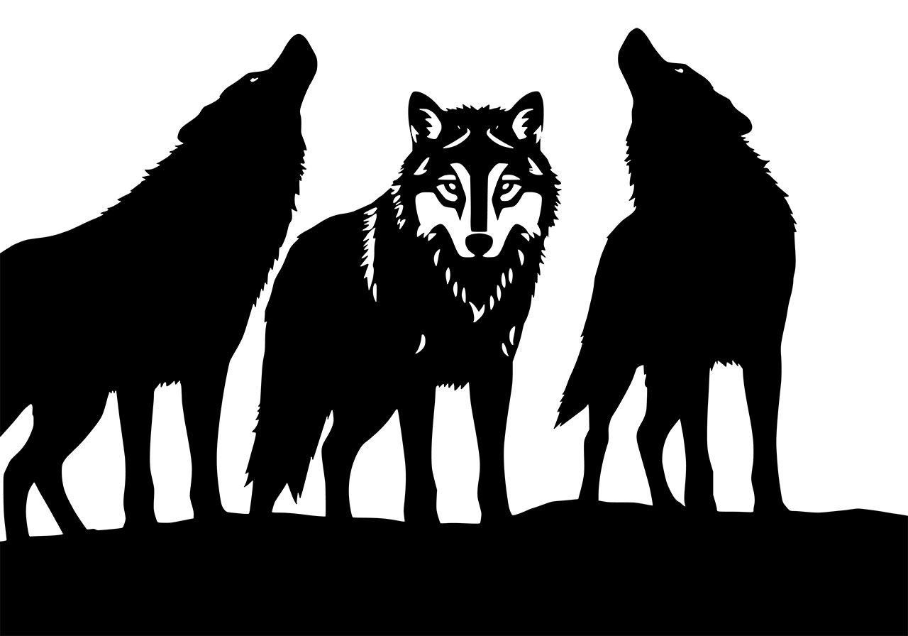 Wolves, animal, wildlife vector graphic. Wolves clip art vector graphic. Black and white line art of wolves vector graphic. Vector graphic with CC0 license, best for a variety of projects, including designs, animations, and more.