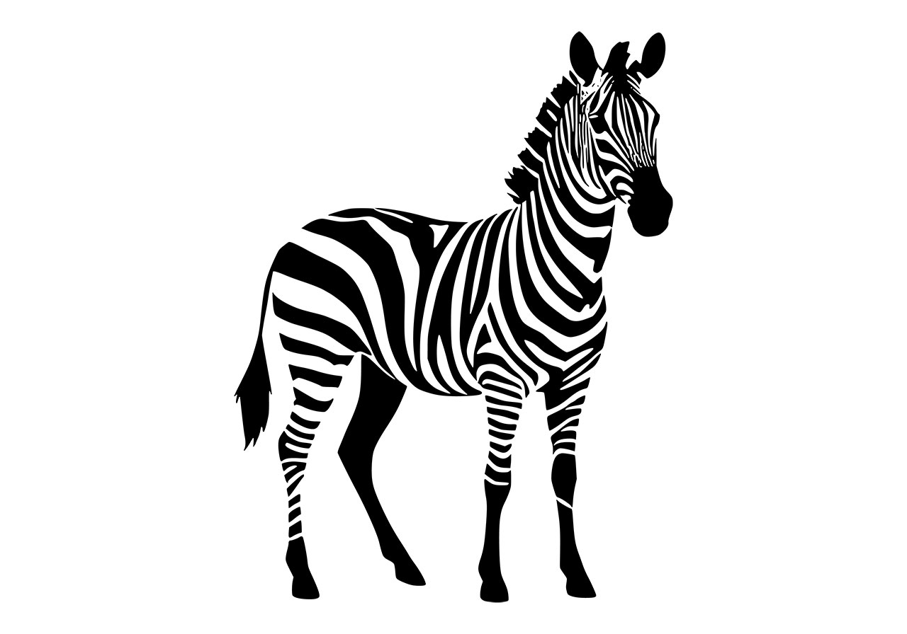 Zebra line art vector graphic. Zebra clip art vector graphic. Black and white zebra line art vector graphic. Zebra, animal line art vector graphic. Vector graphic with CC0 license, best for a variety of projects, including designs, animations, and more.